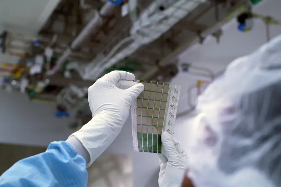 Imagem de um especialista segurando uma amostra de célula solar em sua mão.