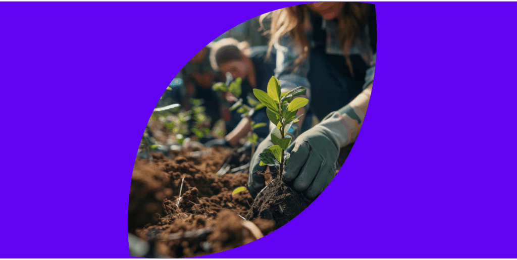 Flora Energia transforma adesões em árvores com o programa Amigo da Floresta